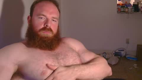 Pec inspector online show from February 3, 3:42 am