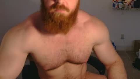 Pec inspector online show from March 12, 9:13 pm