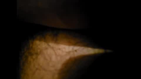 Alex online show from January 24, 12:31 am