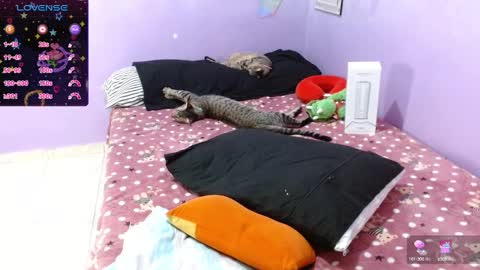 Eros online show from February 3, 4:35 am