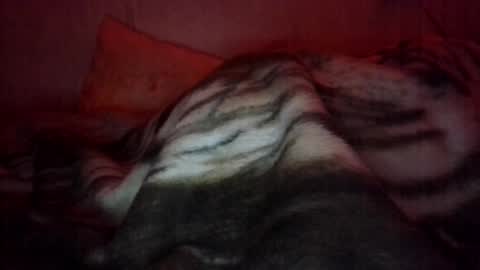 penguinwenk online show from January 19, 4:33 am