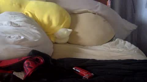 penisstroker9001 online show from December 19, 4:02 pm