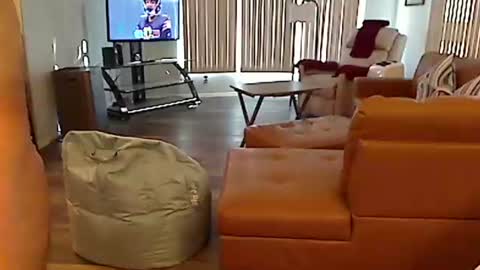 Snapshot of perfecto1957 chatting on December 22, 8:03 pm perfecto1957 online show from December 22, 8:03 pm