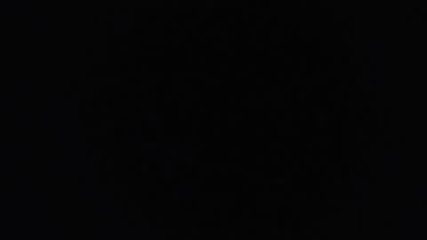 lecia online show from October 31, 8:48 am