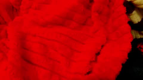 horror flying on the wings of the night.... online show from February 15, 12:43 pm