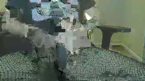 Mia online show from November 12, 3:53 am