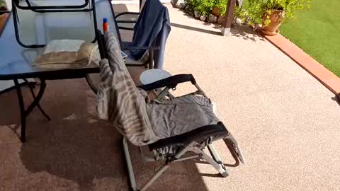 philwatuk online show from April 21, 2:02 pm