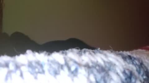 Piperxxx online show from September 24, 5:03 am