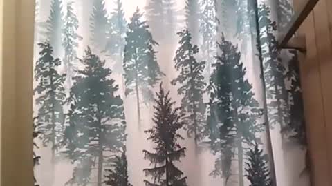 SEX ADDICTION WANNA MEET online show from December 12, 2:37 am