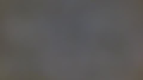 playboytit online show from December 27, 10:55 am