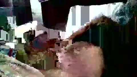 plspeezy online show from April 26, 9:07 am