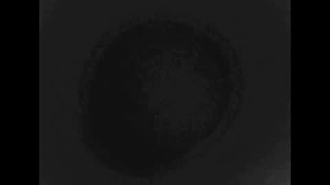 plucks online show from September 18, 7:56 am