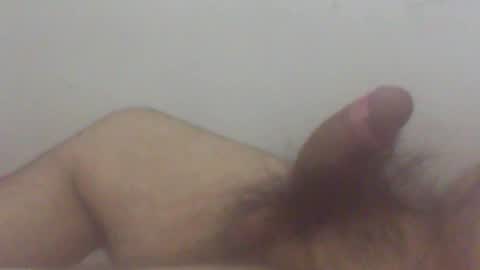 pol2023 online show from April 24, 4:03 am