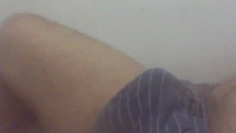 pol2023 online show from August 1, 2:46 am