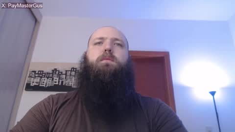 Bear online show from November 5, 6:04 am