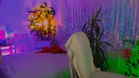 Martha online show from November 8, 8:34 pm