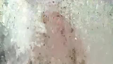 polishangel222 online show from January 13, 1:41 pm