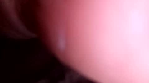 pop297248 online show from November 10, 3:15 pm