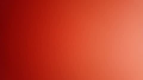 pop297248 online show from December 16, 3:40 pm