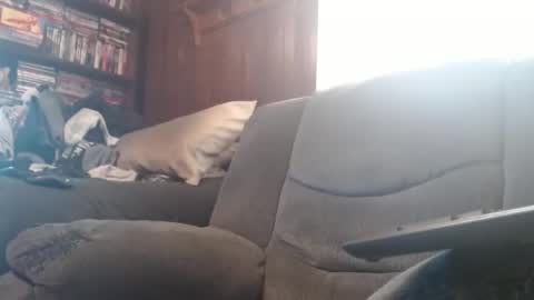 porkingit400 online show from February 14, 5:14 pm