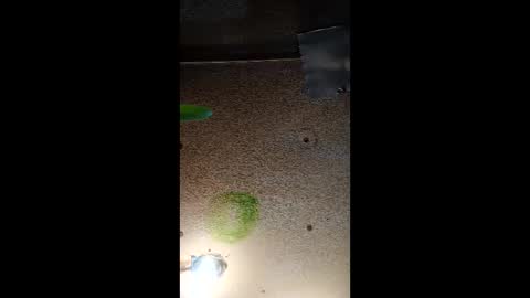 potsymcstoner online show from September 12, 5:48 pm