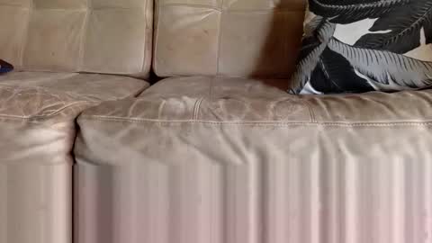 ppsmall_17 online show from February 8, 6:33 pm