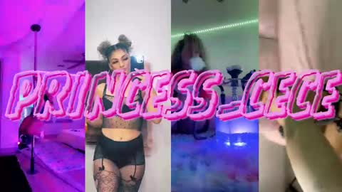 Snapshot of princess_cece chatting on February 12, 12:58 am Cece  NEXT LIVESTREAM -- DEC. 4th  7 PM CST online show from February 12, 12:58 am