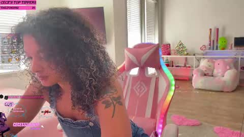 Snapshot of princess_cece chatting on February 13, 4:39 pm Cece  NEXT LIVESTREAM -- DEC. 4th  7 PM CST online show from February 13, 4:39 pm