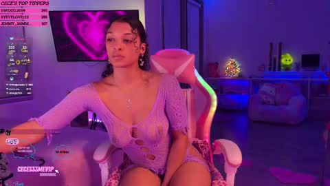 Snapshot of princess_cece chatting on February 22, 4:07 am Cece  NEXT LIVESTREAM -- DEC. 4th  7 PM CST online show from February 22, 4:07 am