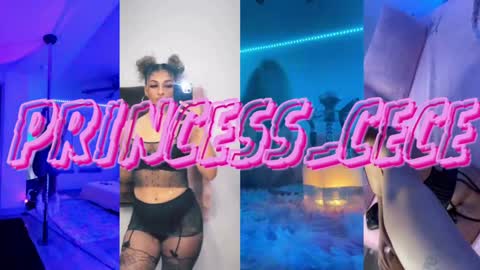 Snapshot of princess_cece chatting on January 12, 5:44 pm Cece  NEXT LIVESTREAM -- DEC. 4th  7 PM CST online show from January 12, 5:44 pm