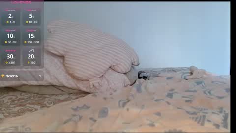 Marcela online show from December 22, 8:48 pm