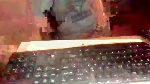 pup_y online show from September 19, 7:06 pm