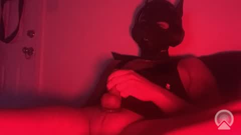 pupvoid online show from November 18, 4:04 am