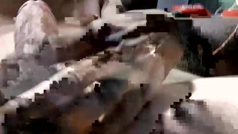 pussylicker517038 online show from February 19, 11:20 am