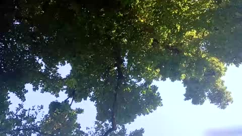 Bigthickdickinvic online show from February 2, 6:25 am