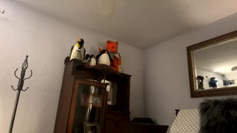    RAMONA Q   online show from December 4, 8:47 am