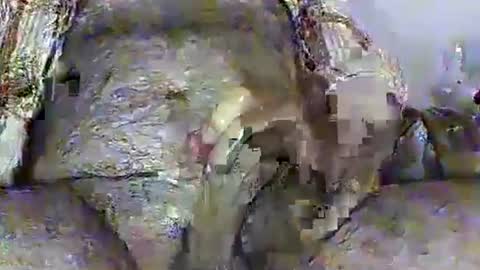 Rasit Adanali online show from April 2, 12:12 pm