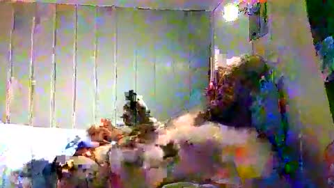 real_viking1 online show from November 29, 8:44 am