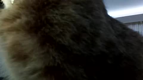 you can tell me a LSD online show from February 28, 12:36 am