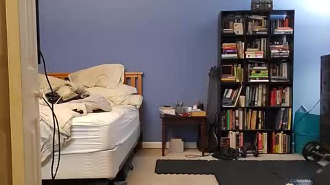 rebelstarlight online show from March 31, 7:42 am