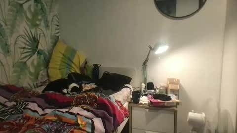 Redfox online show from November 19, 12:59 pm