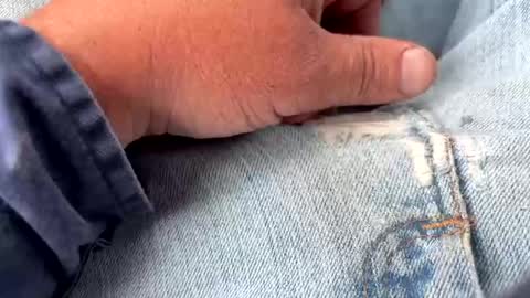 redneck200770 online show from September 22, 6:56 pm