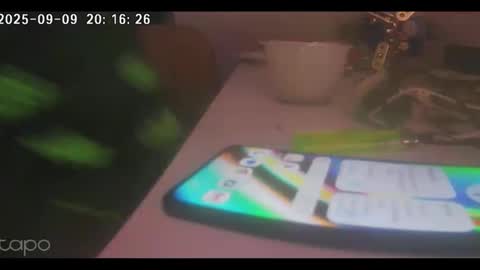 Snapshot of reza240782 chatting on September 9, 7:14 pm reza240782 online show from September 9, 7:14 pm
