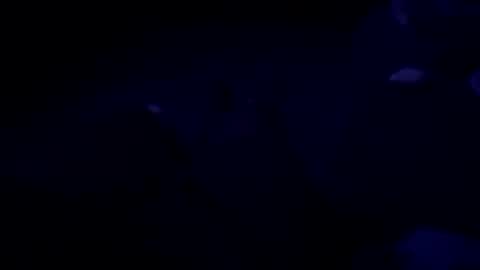 Babu online show from November 3, 4:13 am