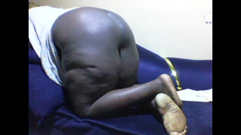 cookie online show from January 3, 8:01 pm