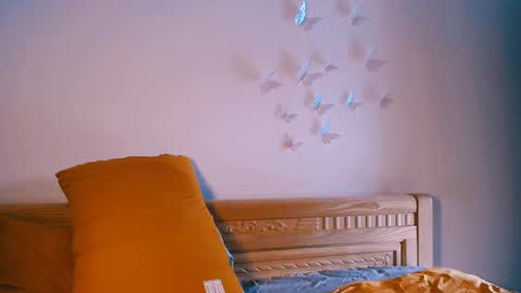 Rita online show from February 14, 7:33 am