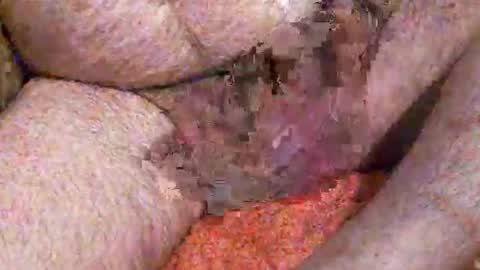 Anon online show from December 16, 6:31 am