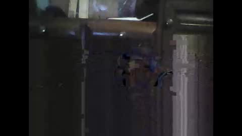 rlpl online show from December 15, 6:48 pm