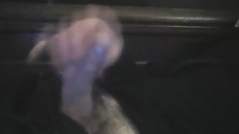 rlpl online show from March 29, 4:52 pm