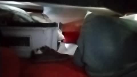 R online show from June 24, 12:50 am